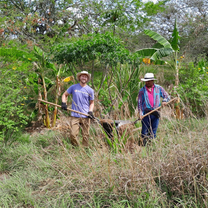 volunteers in a grassy field 