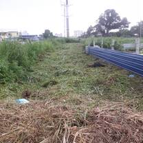 Clearing land