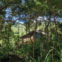 Jungle trip