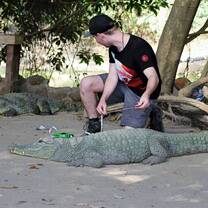 Measuring West African crocodiles