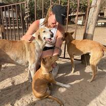 Playing with the dogs at the local rescue centre