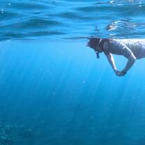 snorkling