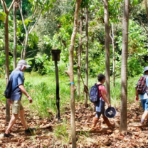 People walking in Costa Rican forest