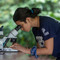 Person looking through microscope for research in Costa Rica