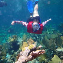 snorkeling on Andros Island