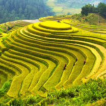 Global Engineering in Vietnam