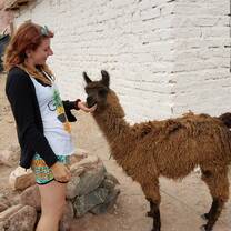 Student engaging with the animals of Chile!