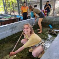 Volunteers help the staff cleaning the turtle tubs