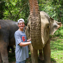 Meet elephants in Thailand