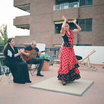 Flamenco show