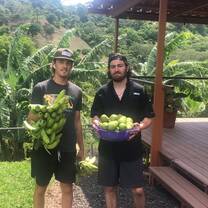Collecting fruit at The Bridge house