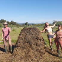 Composting