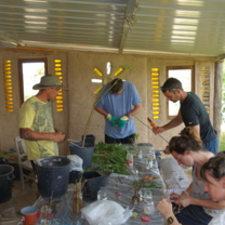 Plant Propagation
