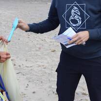 Beach cleanups