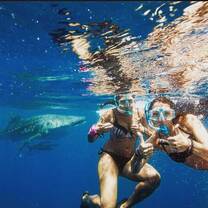 Belize - Family-Friendly Private Island Marine Experience