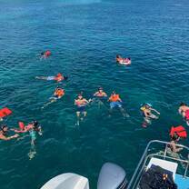 Snorkeling