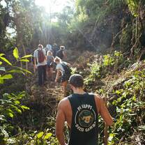 Forest conservation
