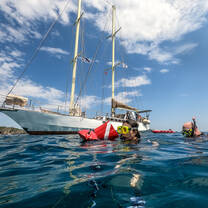 Transect team in the water ©MarcBielefeld