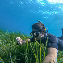 seagrass transect 