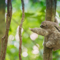 Costa Rica - Family-Friendly Volunteering on the Pacific Coast