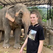 Elephant program