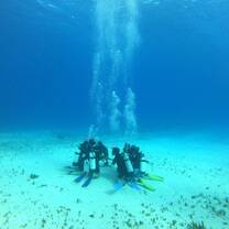 Scuba Diving certification in Oahu