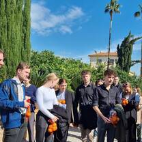 Tour of the Orange Orchard