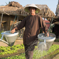 Global Engineering in Vietnam