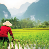 Global Engineering in Vietnam