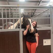 Students studying and taking notes inside a horse stable, learning hands-on equine care during the Scotland summer study abroad program.
