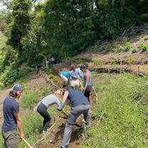a group helps with field work on a farm