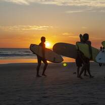 New Summer Plans