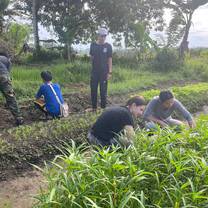Volunteers helping at our regenerative farming plot