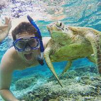 Student Snorkeling on the Great Barrier Reef