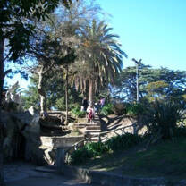 FSD Interns in Argentina