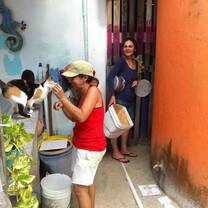 Caring for cats at the PAW Cat Sanctuary, Belize