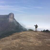 Tijuca