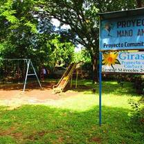 Playground mano amiga girasol