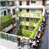 Asia Exchange Programs at Kasetsart University