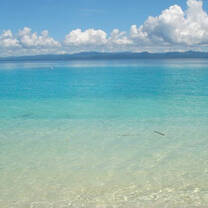 The beautiful beaches of Fiji - courtesy of Jessica Davis