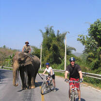 Volunteer with BikeHike Adventures!