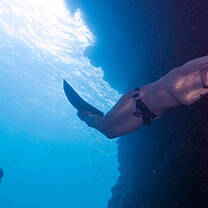 Freediving courses in Koh Tao