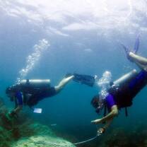 Diving in Koh Tao