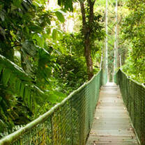 Canopy rope bridge in Costa Rica