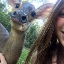 Friendly deer!