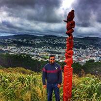 Internships New Zealand 