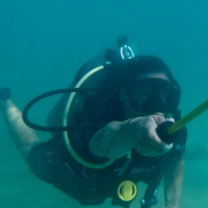 diving in Honduras