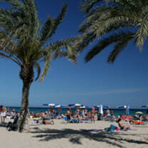 Study Abroad in Alicante, Spain, with USAC