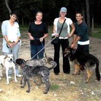 Greece volunteers with animals
