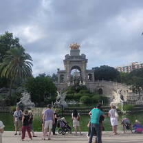 Study with API in Barcelona
